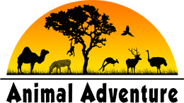 1ec76c698159ececf4d23b73b40de58d Areas of Interest 1ec76c698159ececf4d23b73b40de58d Areas of Interest