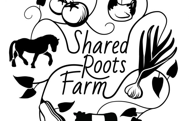 download-4-1-650x415 Areas of Interest